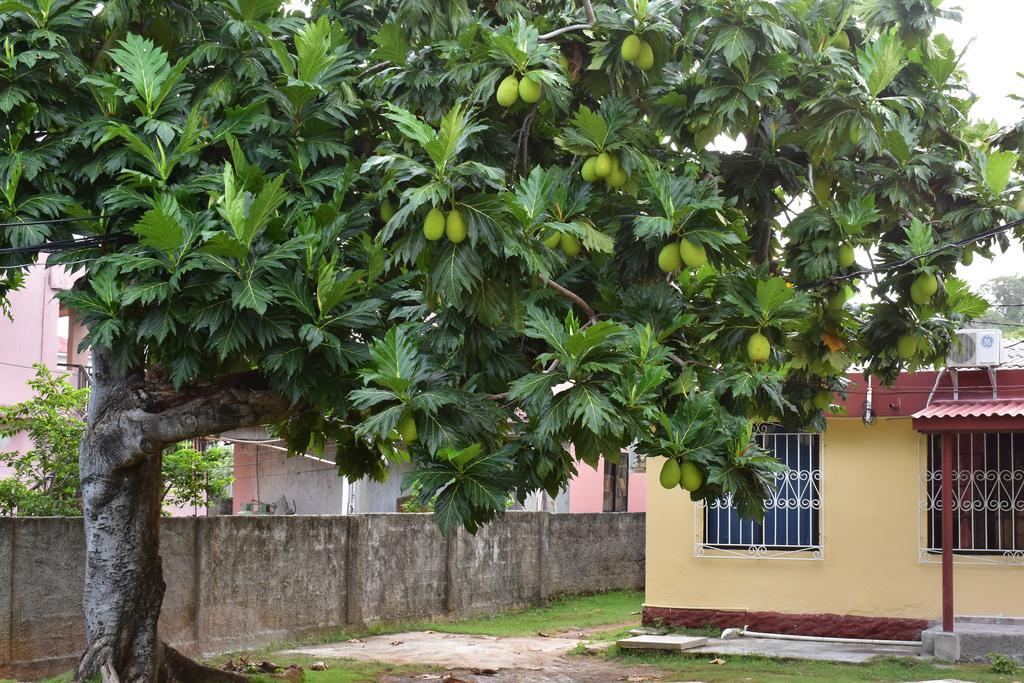 Posada James San Andrés Exteriér fotografie
